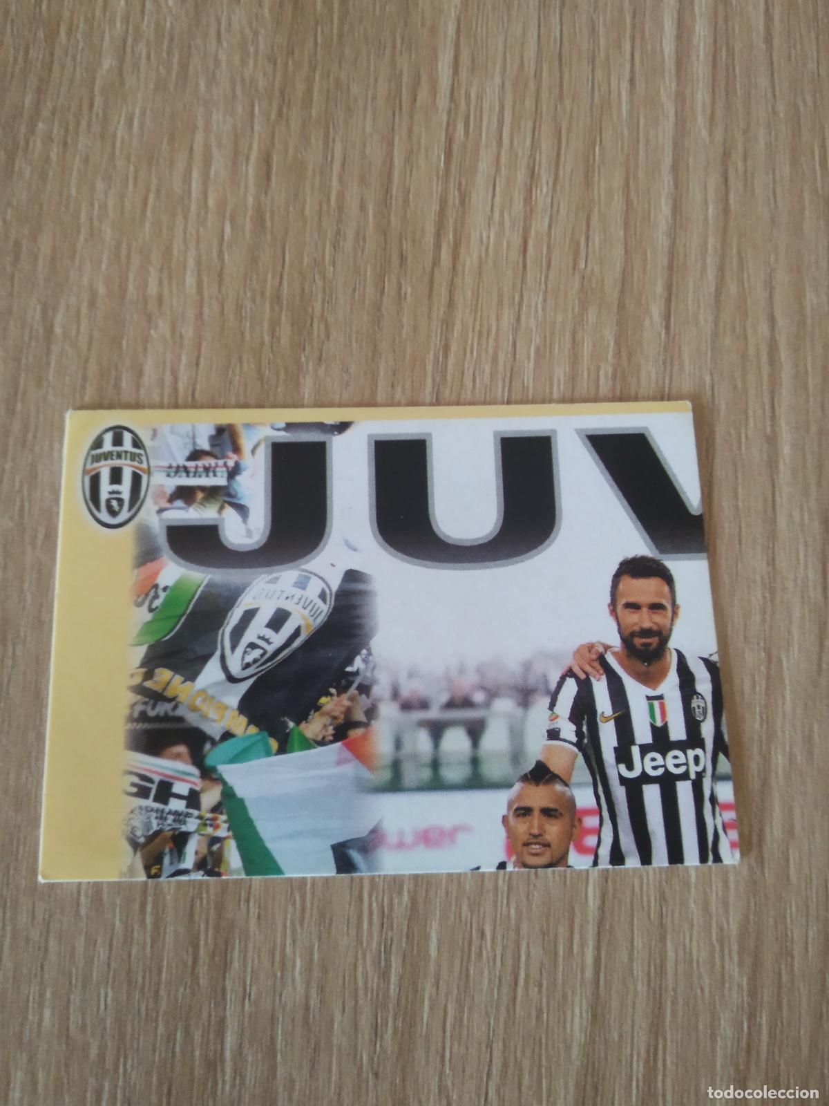 Figurine di Calcio: 273 EQUIPO PLANTILLA JUVENTUS TURIN CROMO FUTBOL PANINI LIGA ITALIA 13-14 CALCIATORI 2013-2014