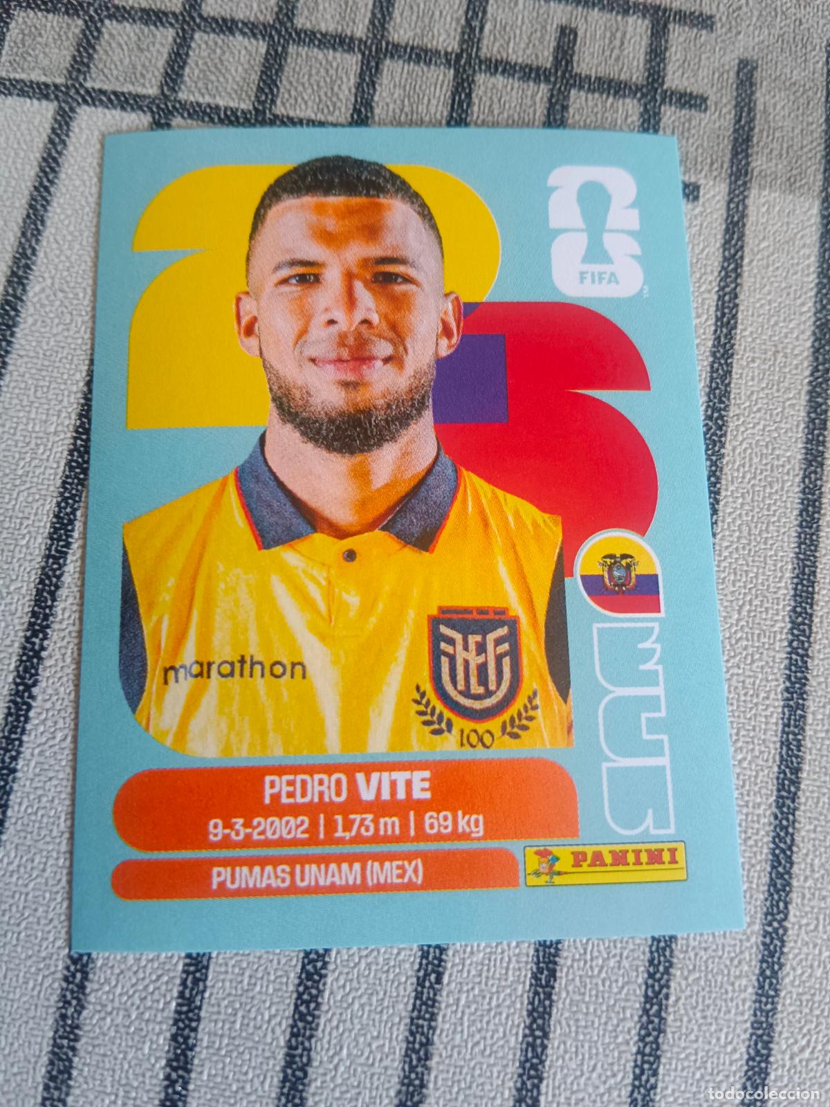 Cromos de F&uacute;tbol: MUNDIAL 2026 ESTADOS UNIDOS USA MEXICO MEJICO CANADA ECU 12 ECU12 PEDRO VITE ECUADOR FIFA
