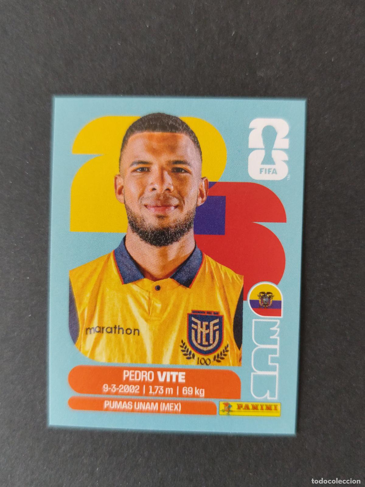 Cromos de F&uacute;tbol: ECU12 PEDRO VITE 12 ECUADOR MUNDIAL FIFA WORLD CUP 2026 STICKER PANINI SIN PEGAR