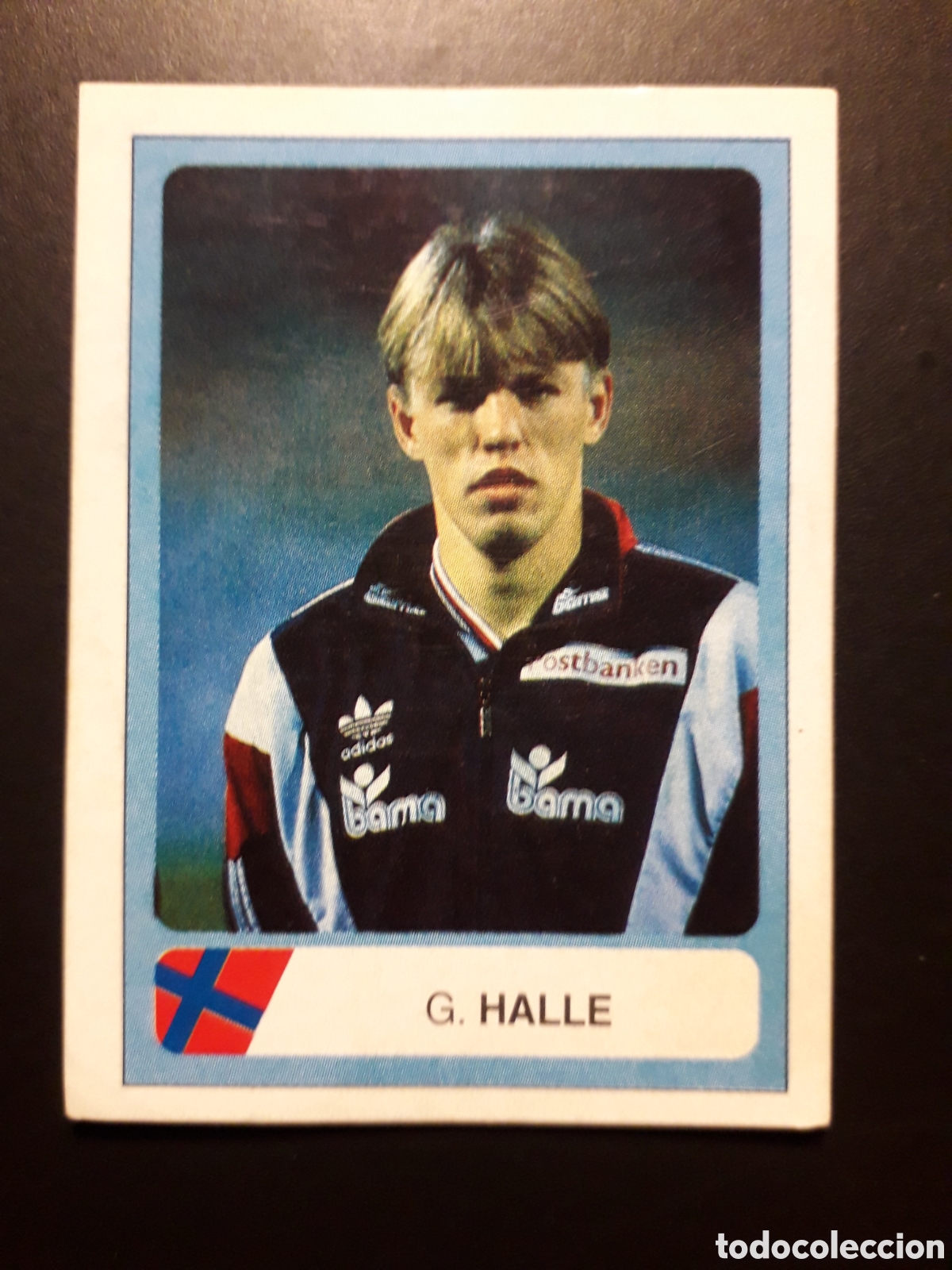 Cromos de F&uacute;tbol: HALLE NORUEGA N&deg; 340 MUNDIAL F&Uacute;TBOL USA/ESTADOS UNIDOS 94 1994 ED ESTADIO SIN PEGAR PEDIDO M&Iacute;NIMO 3&euro;