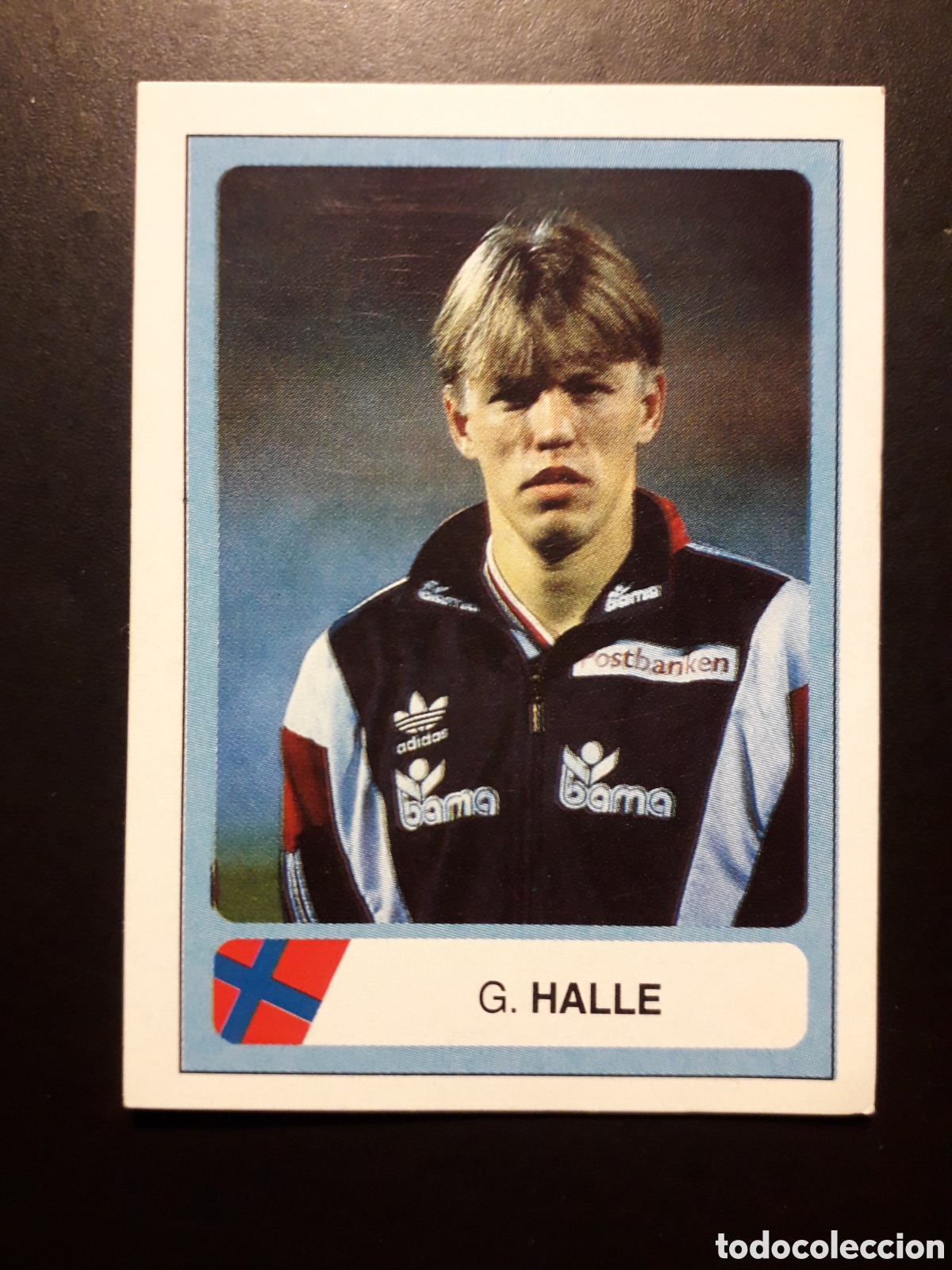 Cromos de F&uacute;tbol: HALLE NORUEGA N&deg; 340 MUNDIAL F&Uacute;TBOL USA/ESTADOS UNIDOS 94 1994 ED ESTADIO SIN PEGAR PEDIDO M&Iacute;NIMO 3&euro;