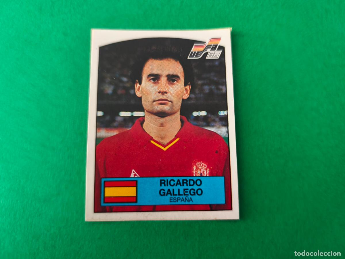 Cromos de Futebol: CROMO FUTBOL GALLEGO ESPA&Ntilde;A RECORTADO N&ordm; 143 EUROCOPA EURO 88 PANINI