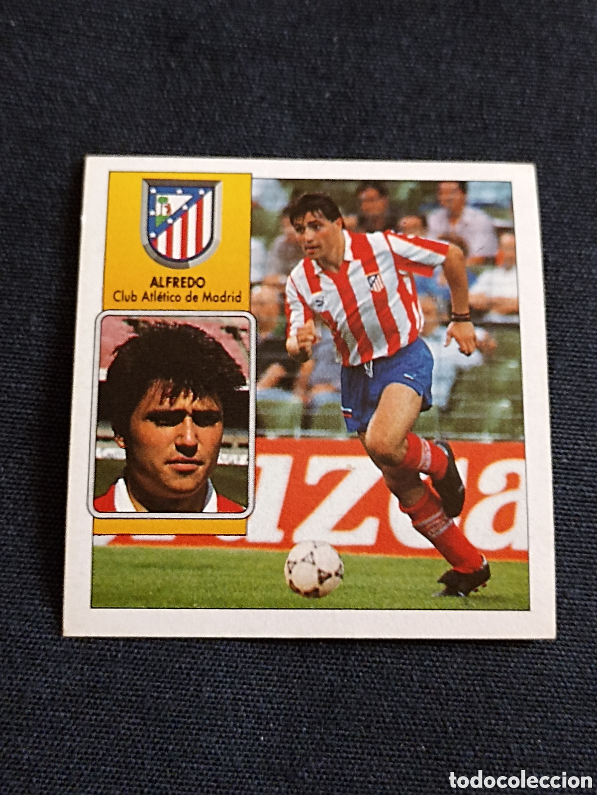 Cromos de f&uacute;tbol: Alfredo ( Club Atl&eacute;tico de Madrid ). Liga este 92-93. Nunca pegado