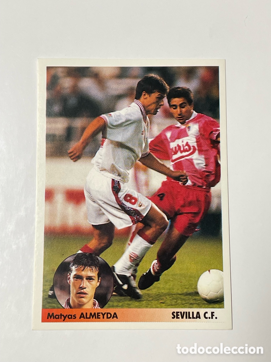 Cromos de f&uacute;tbol: Matyas Almeyda Sevilla Panini Los mejores equipos de Europa 1996/97 #256