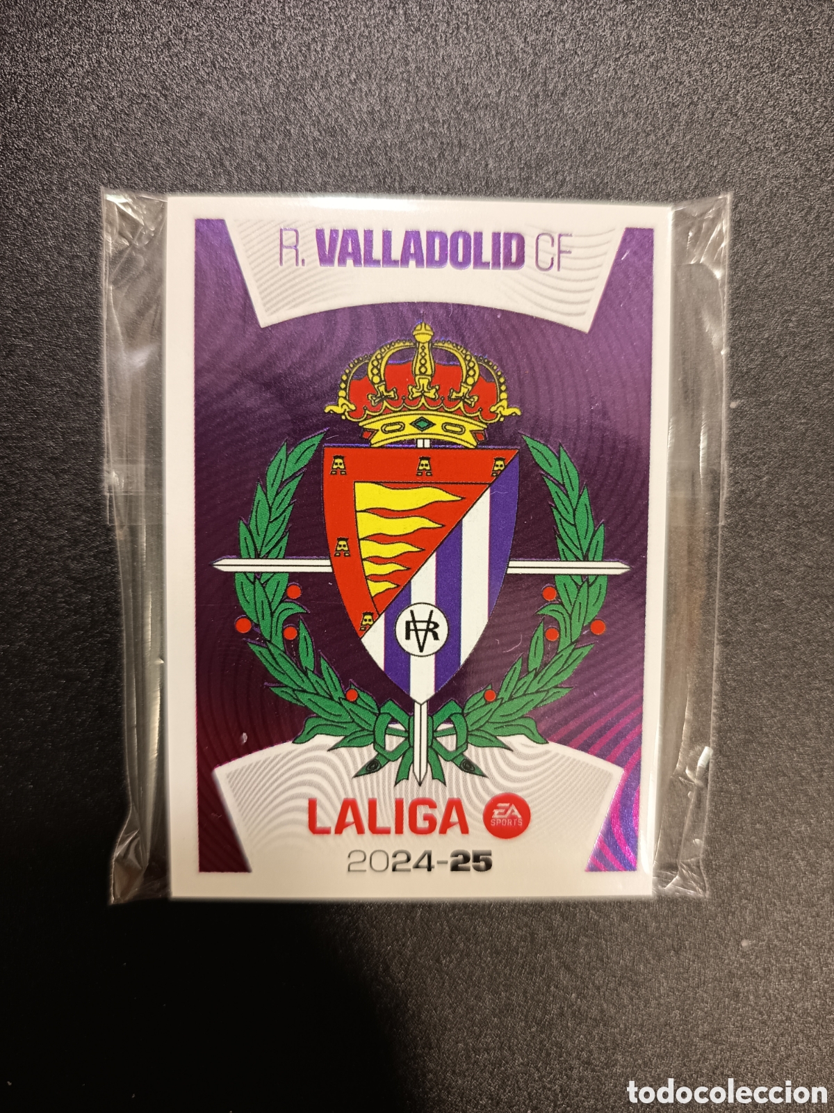 Football Stickers: Real Valladolid equipo completo 29 cromos - stickers Liga Este 2024-25 2024 2025 PANINI