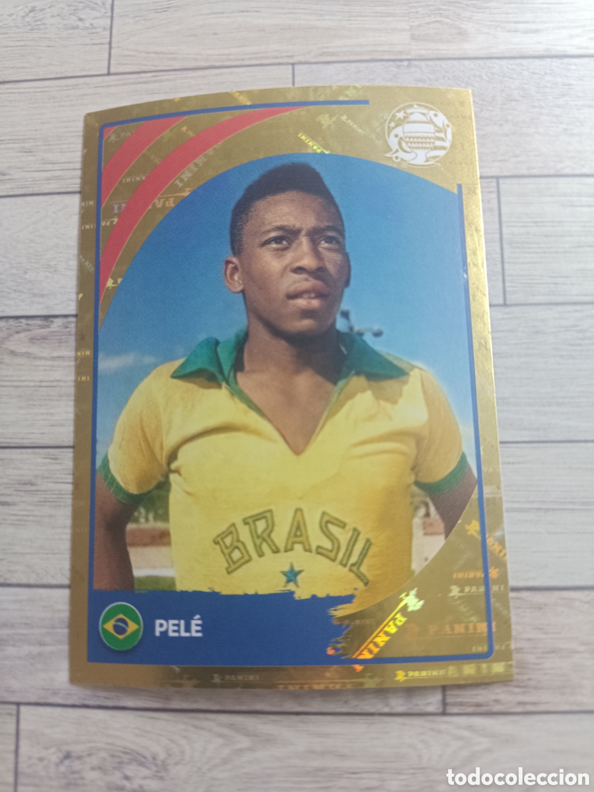 Football Stickers: LEG3 PELE BRASIL LEGEND LEG 3 BRAZIL COPA AMERICA USA 2024 PANINI 24