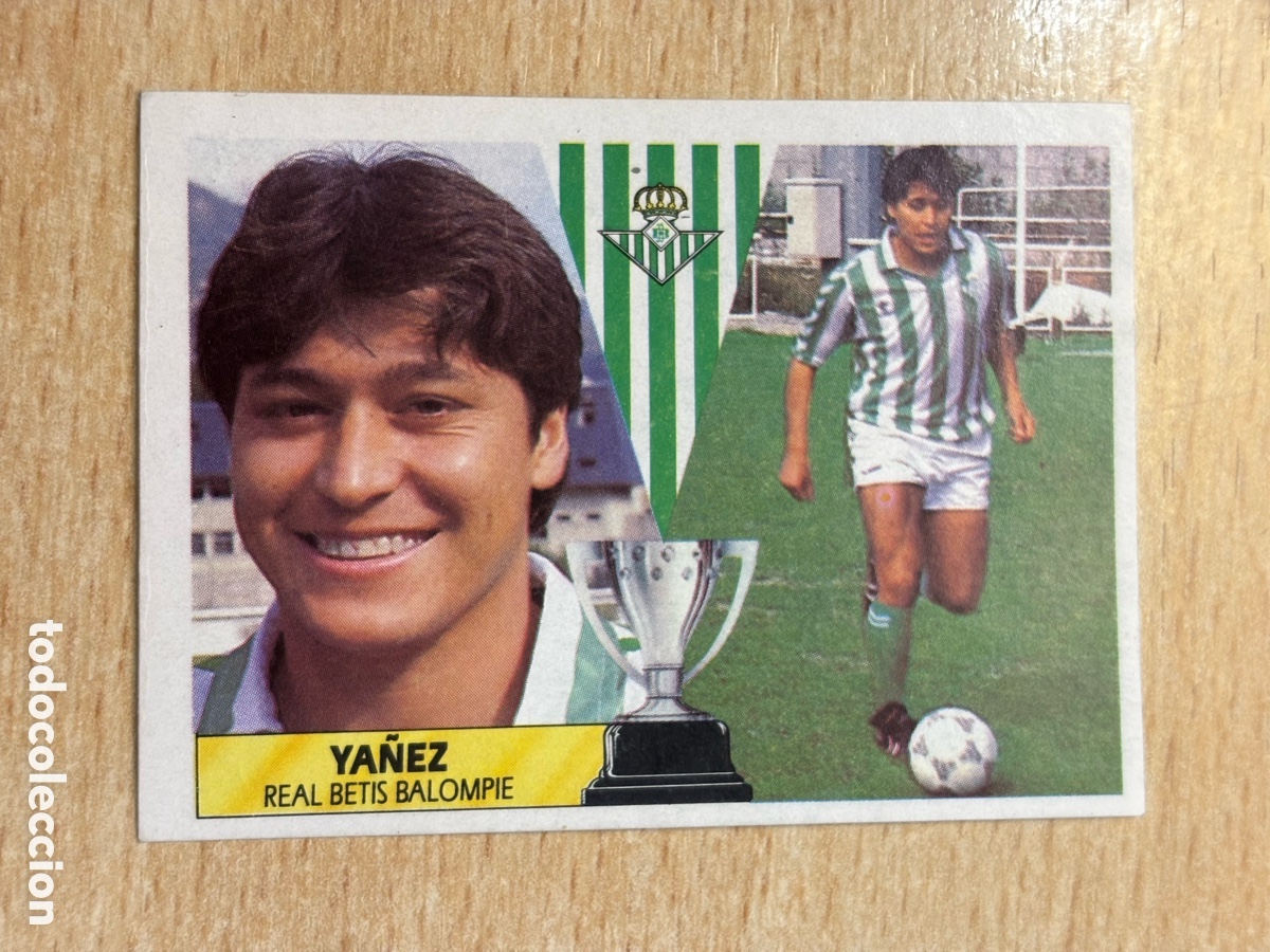 Football Stickers: Y&aacute;&ntilde;ez Fichaje 19 Real Betis Ediciones Este 87-88 1987-1988 sin pegar