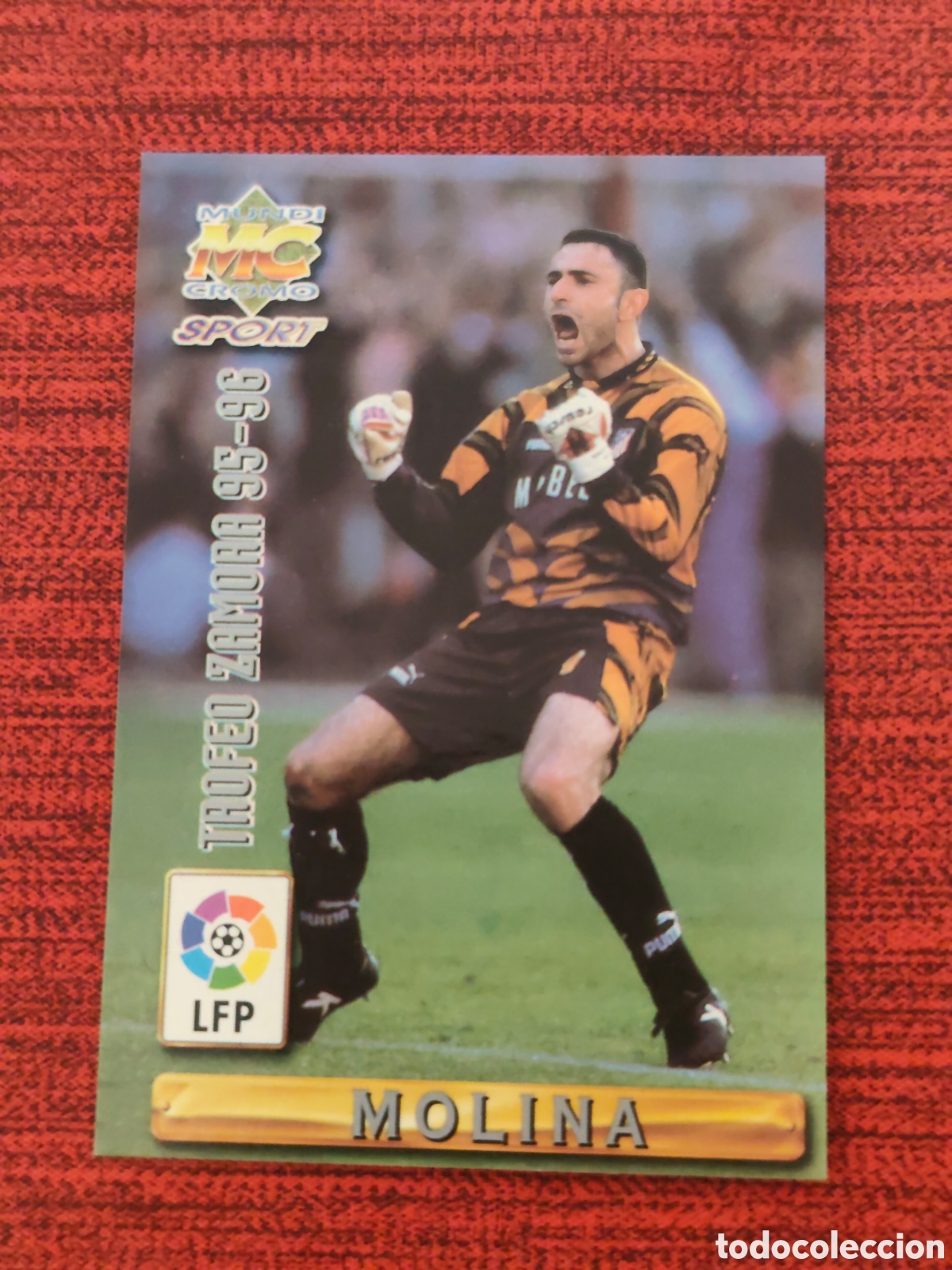 Figurine di Calcio: 423 MOLINA ATL&Eacute;TICO MADRID TROFEO ZAMORA 95-96 MUNDICROMO 1996 1997 #