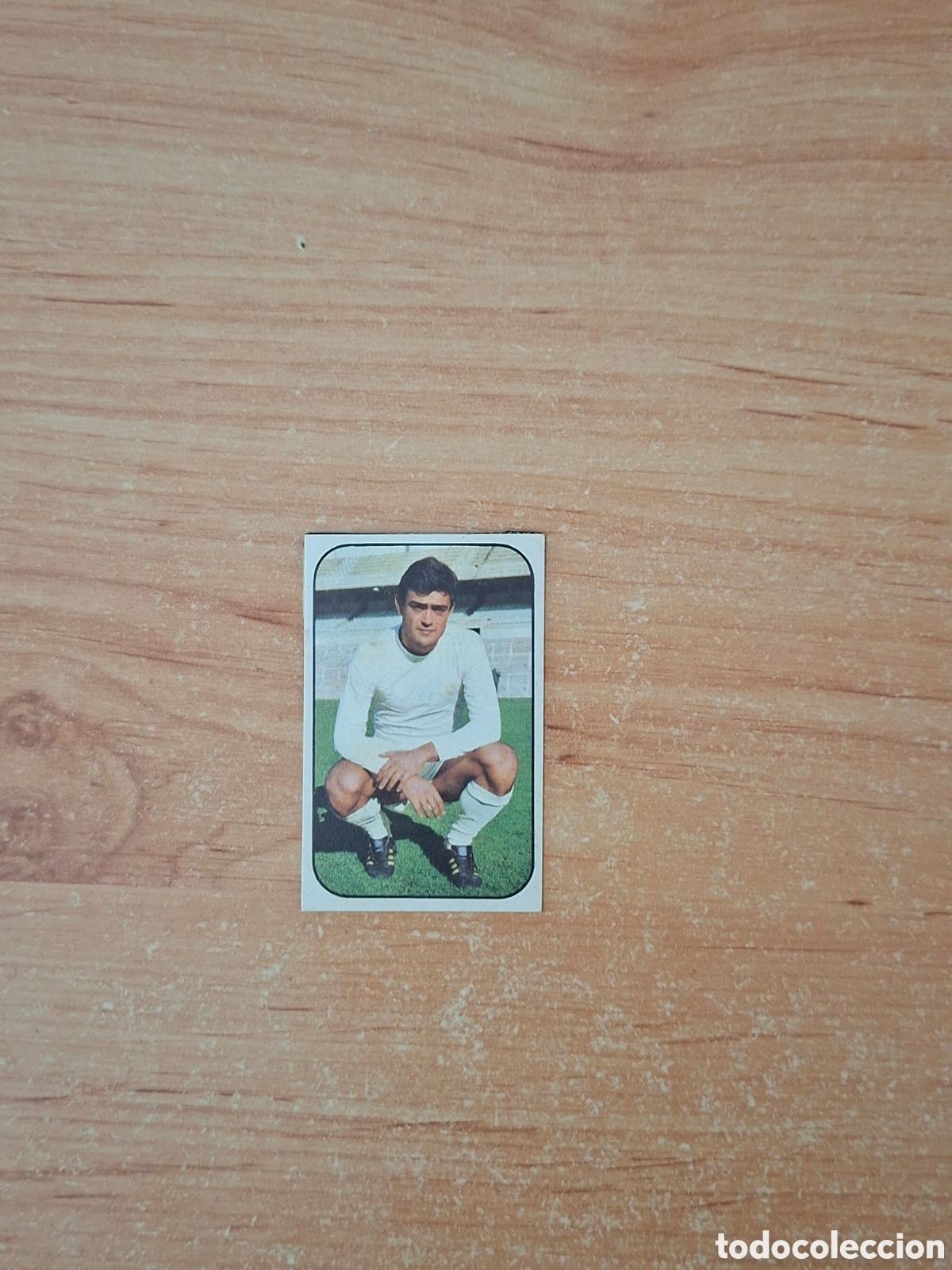Cromos de Futebol: Este 76 77 planelles Valencia baja despegado ver fotos