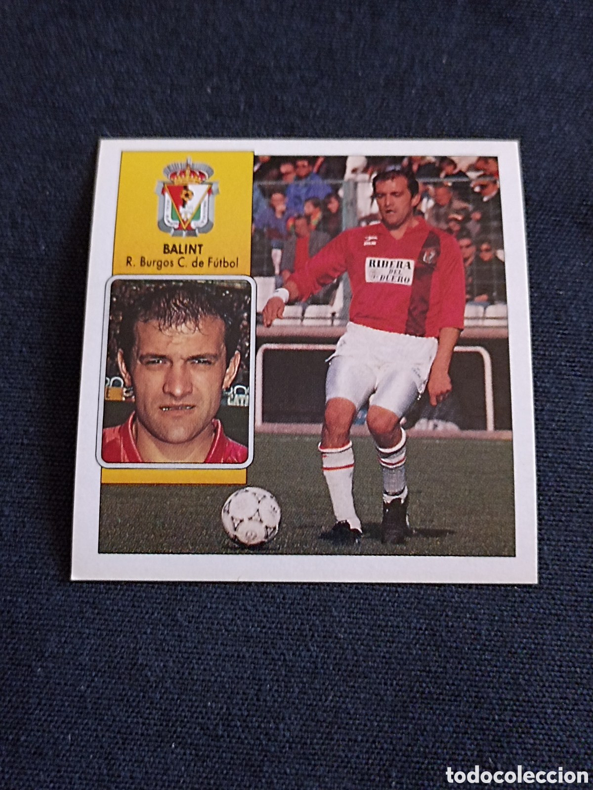 Football Stickers: Balint ( Real Burgos Club De F&uacute;tbol ). Liga este 92-93. Nunca pegado