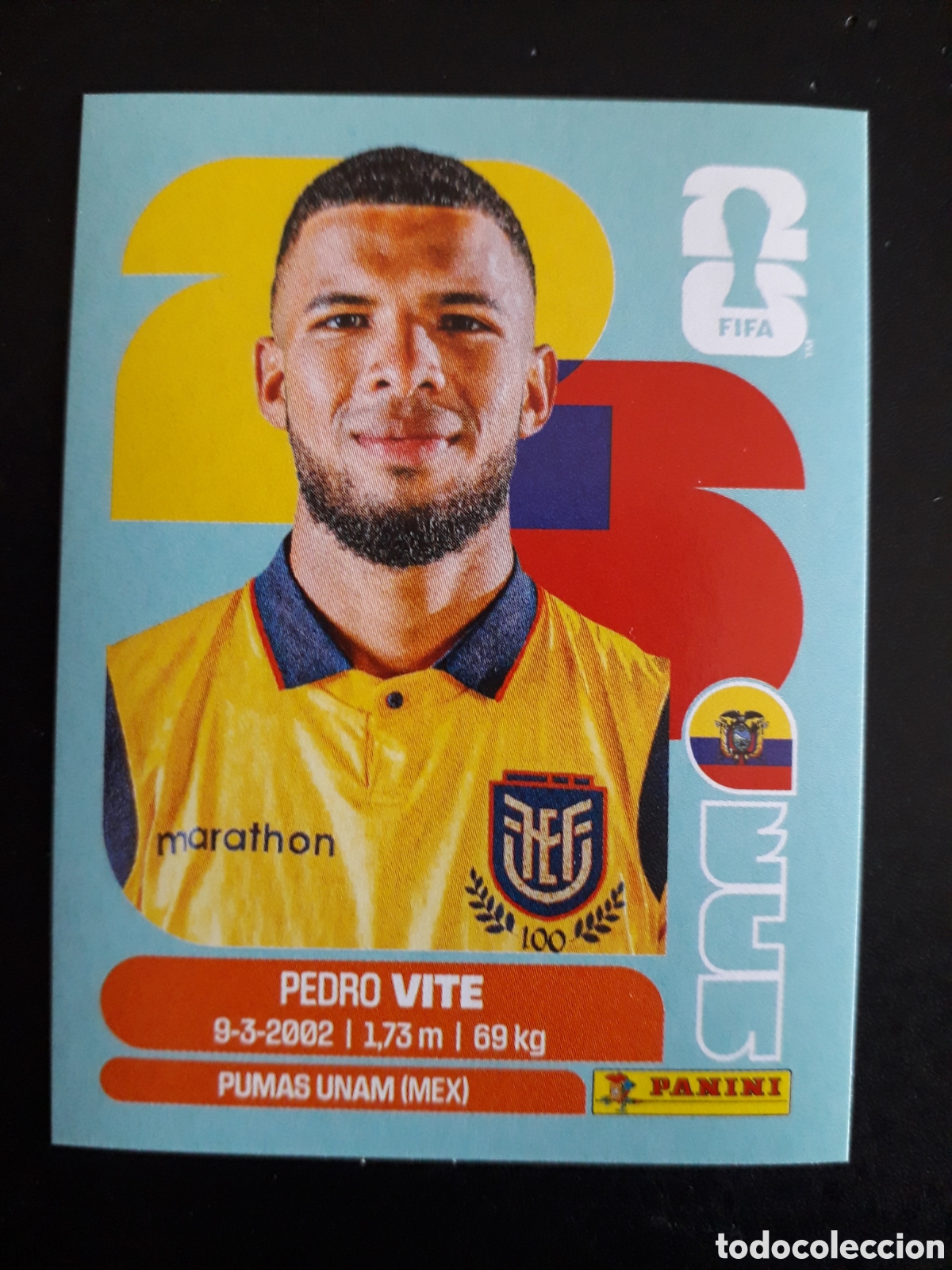 Figurine di Calcio: VITE ECUADOR ECU 12 MUNDIAL F&Uacute;TBOL 2026 FIFA WORLD CUP PANINI SIN PEGAR PEDIDO M&Iacute;NIMO 3&euro;.