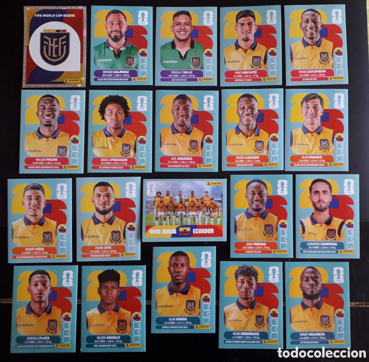 Figurine di Calcio: 20 CROMOS ECUADOR, EQUIPO COMPLETO MUNDIAL F&Uacute;TBOL 2026 FIFA WORLD CUP PANINI SIN PEGAR