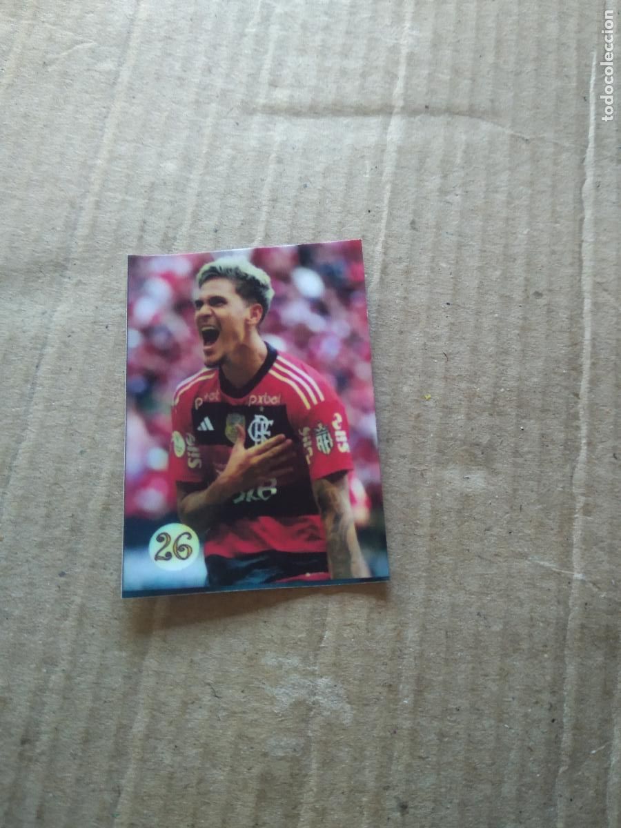 Cromos de f&uacute;tbol: 26 PEDRO FLAMENGO CROMO FUTBOL LIGA BRASIL BRASILEIRAO