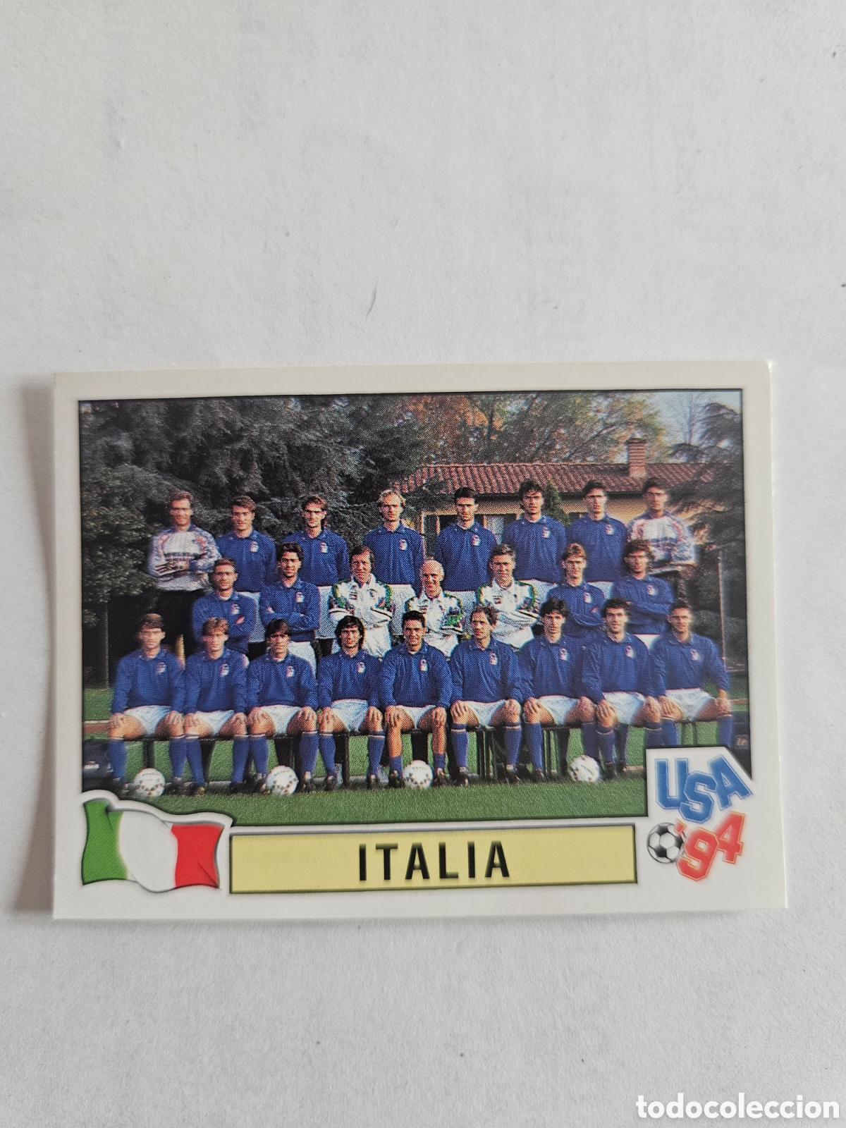 Cromos de f&uacute;tbol: EQUIPO SELECCION ITALIA 315 MUNDIAL USA 1994 94 PANINI NUNCA PEGADO SIN PEGAR