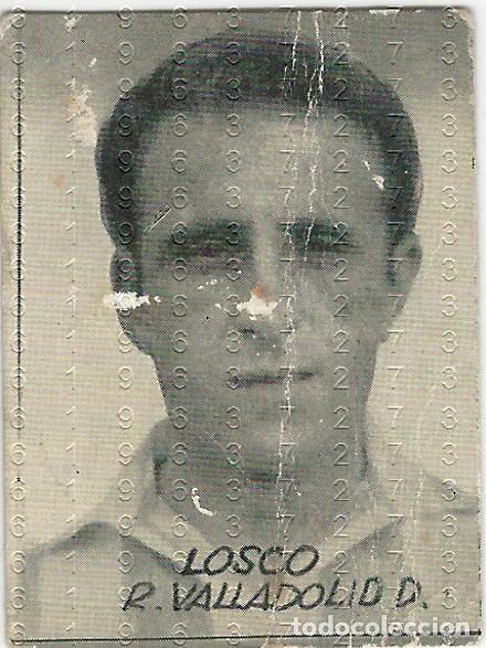 Cromos de f&uacute;tbol: REAL VALLADOLID LOSCO CROMO NUNCA PEGADO B67