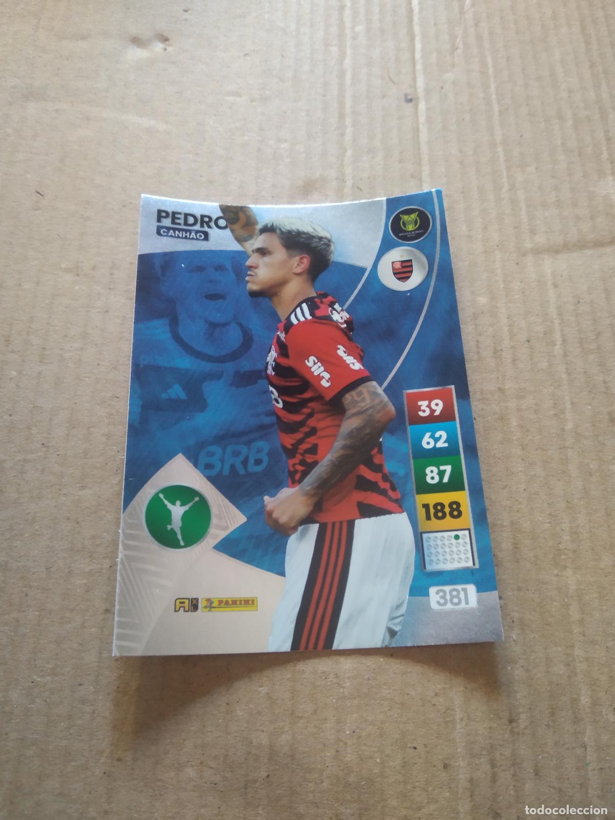 Cromos de f&uacute;tbol: 381 PEDRO FLAMENGO CROMO FUTBOL PANINI ADRENALYN LIGA BRASIL 2023 BRASILEIRAO
