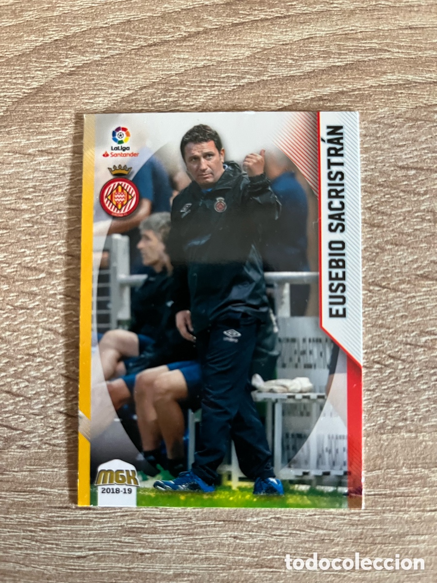 Fu&szlig;ball-Sticker: 265 EUSEBIO SACRIST&Aacute;N ERROR ENTRENADOR MEGACRACKS MGK 2018 2019 18 19 GIRONA