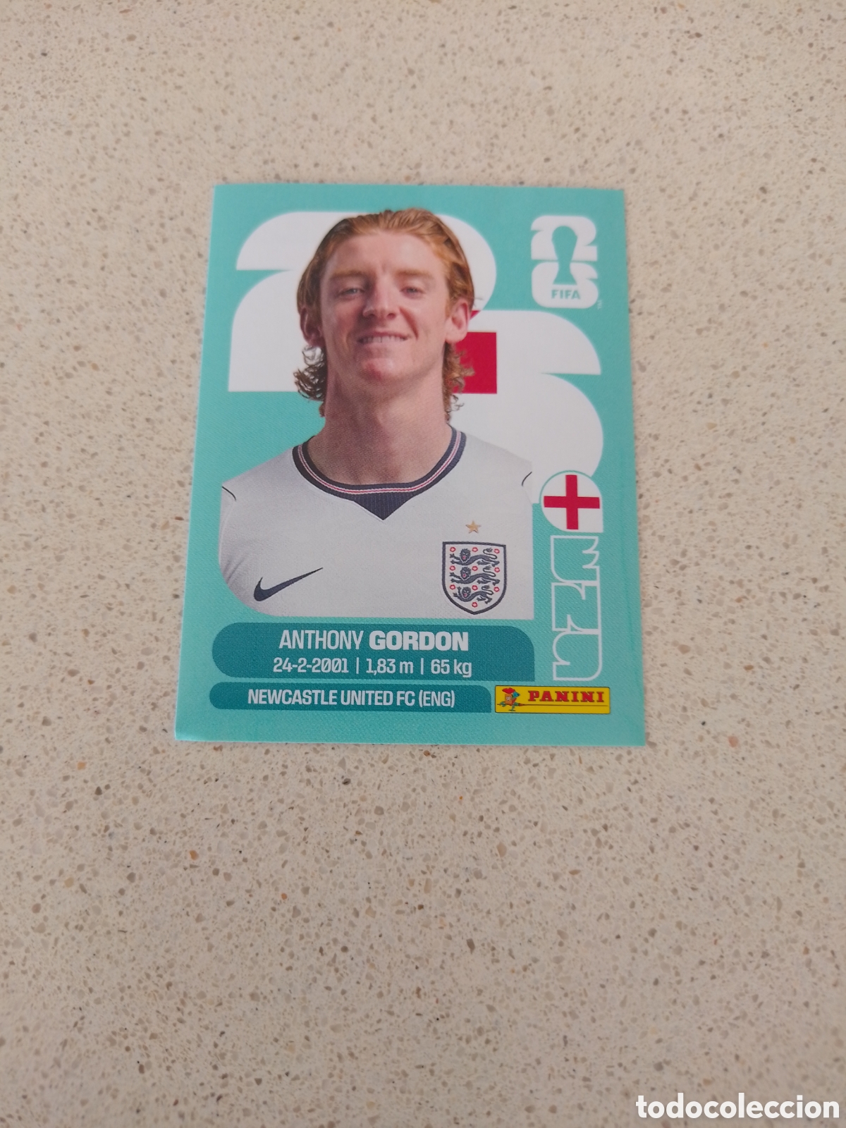 Figurine di Calcio: CROMO NUMERO 15 GORDON INGLATERRA. MUNDIAL 2026. PANINI