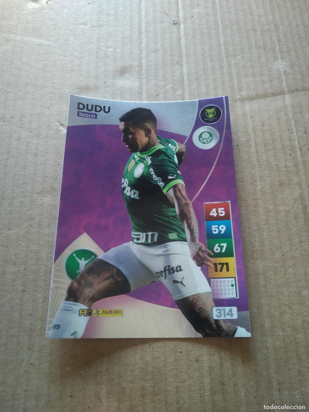 Cromos de Futebol: 314 DUDU PALMEIRAS CROMO FUTBOL PANINI ADRENALYN LIGA BRASIL 2023 BRASILEIRAO