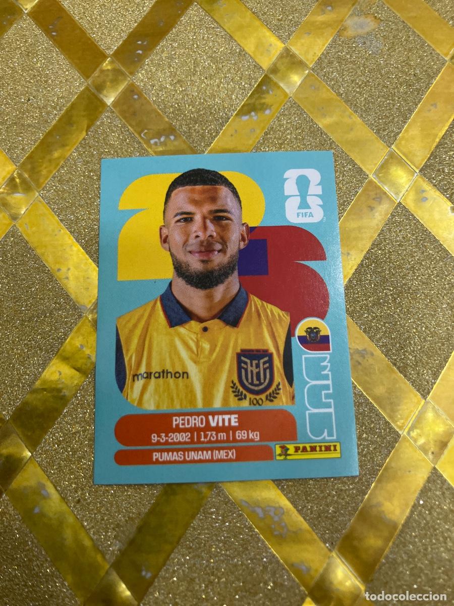 Cromos de f&uacute;tbol: CROMO DE F&Uacute;TBOL NUMERO ECU 12 PEDRO VITE ECUADOR MUNDIAL 2026 MEXICO-EEUU-CANADA PANINI !