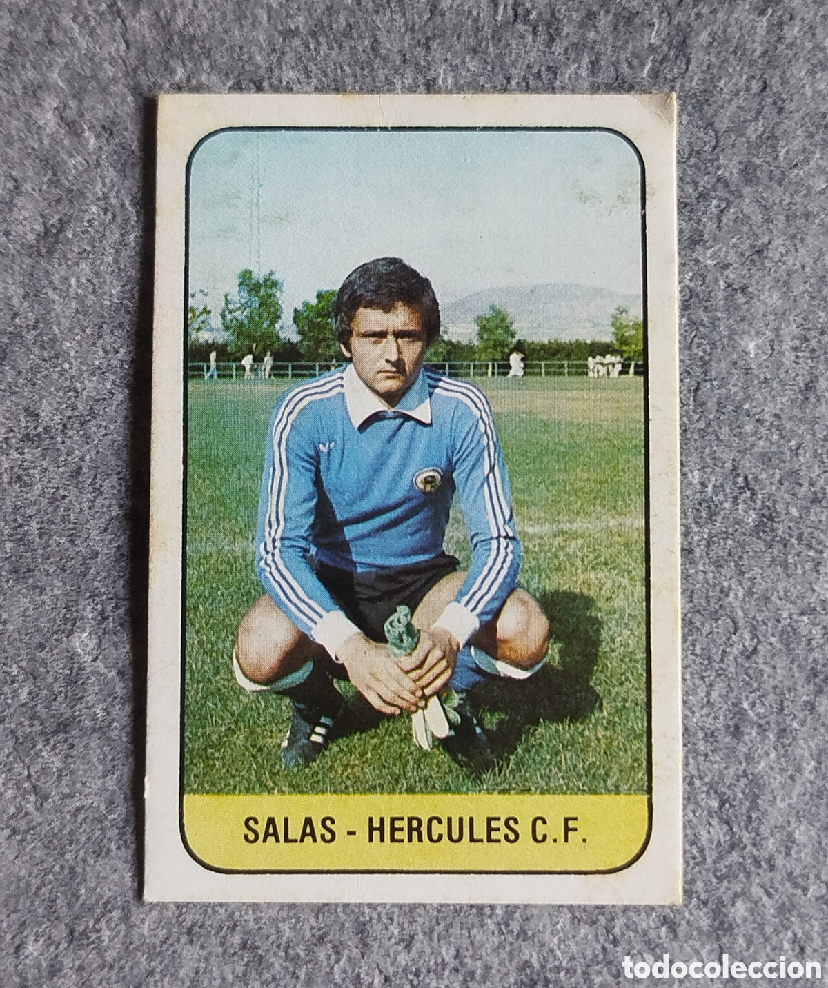 Cromos de f&uacute;tbol: COLOCA SALAS H&Eacute;RCULES 78 79 1978 1979 EDICIONES ESTE DESPEGADO CROMO