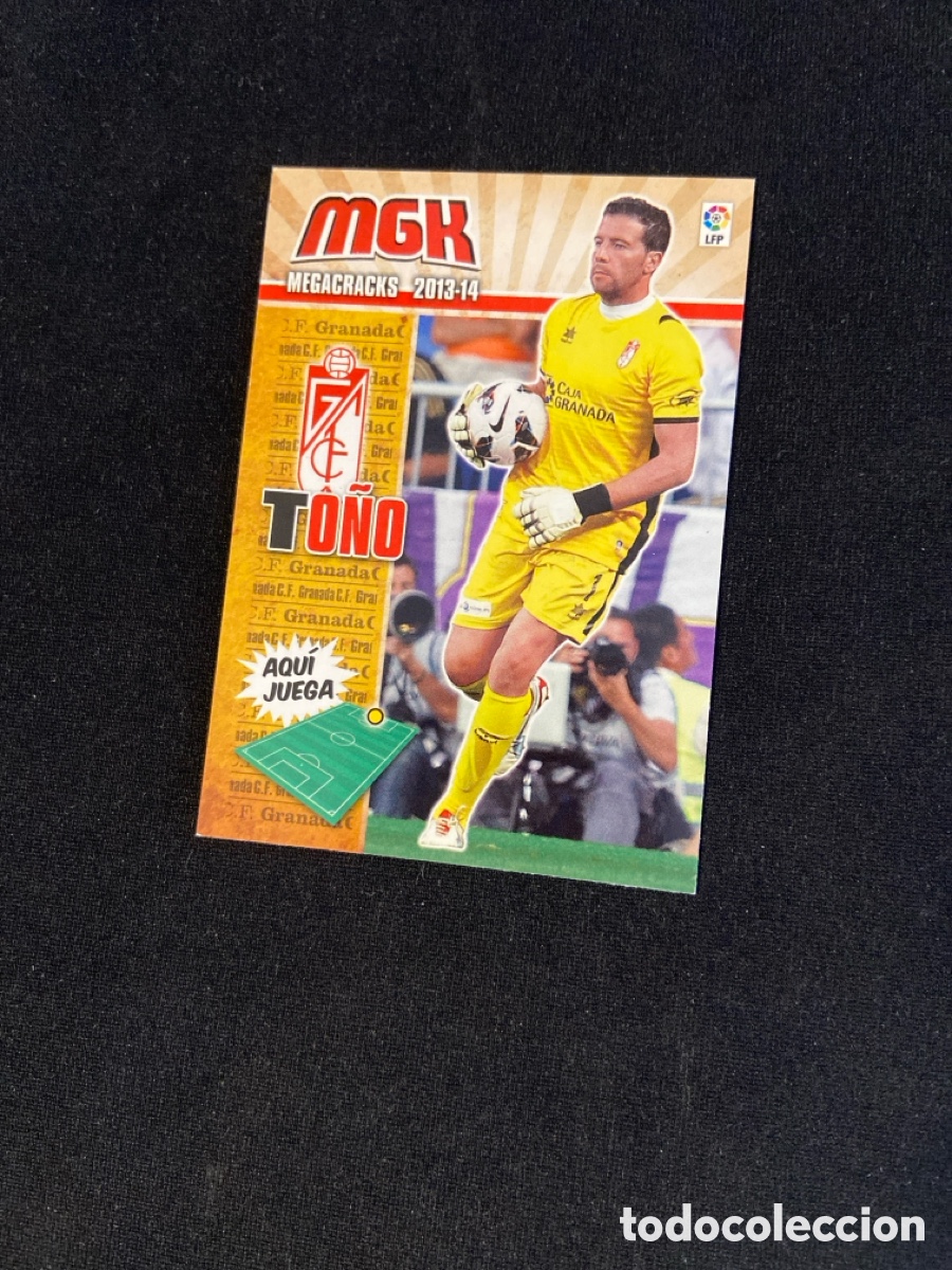 Cromos de f&uacute;tbol: TO&Ntilde;O 165 (GRANADA) PANINI