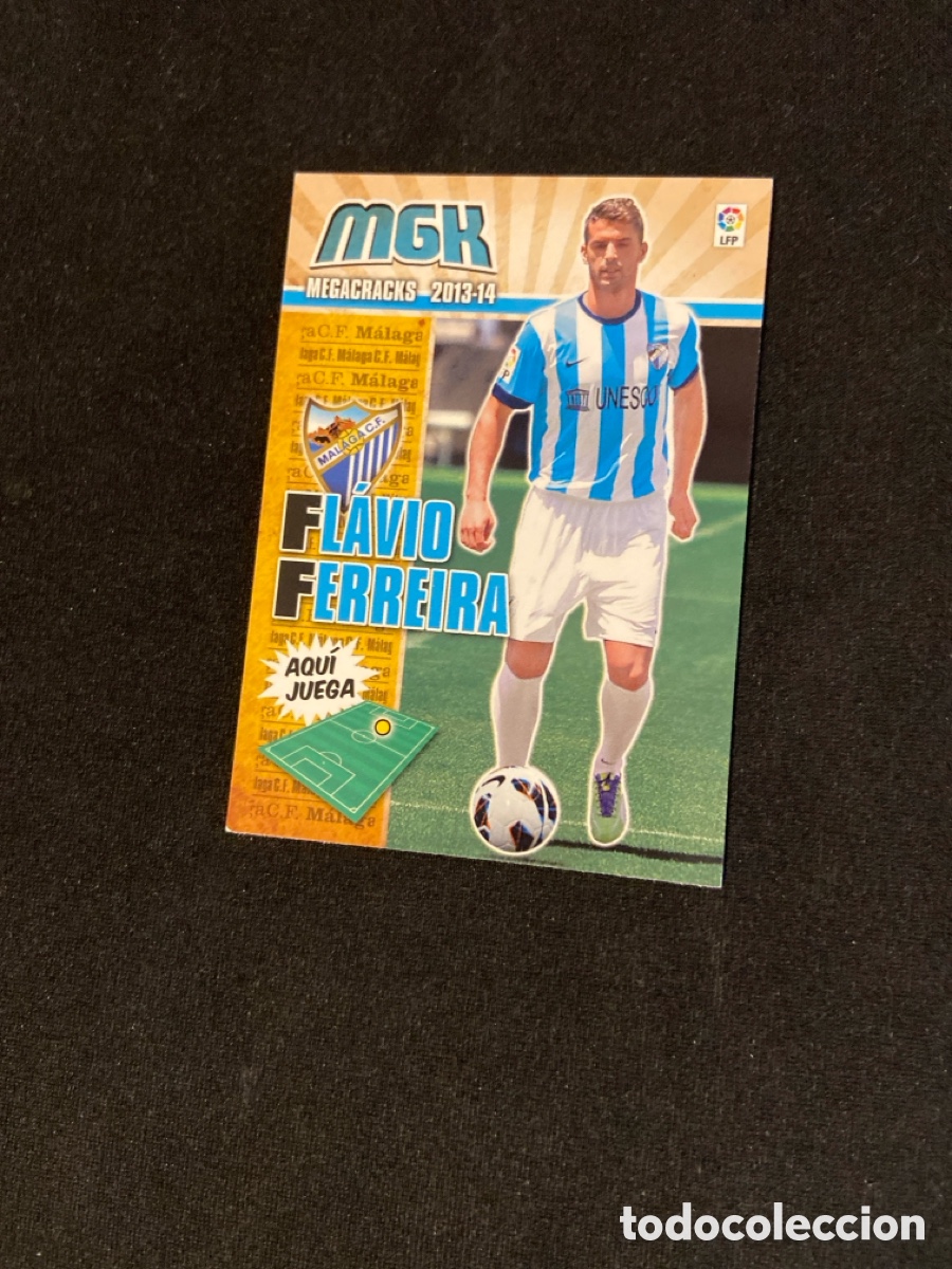 Figurine di Calcio: FLAVIO FERREIRA 221 (M&Aacute;LAGA)