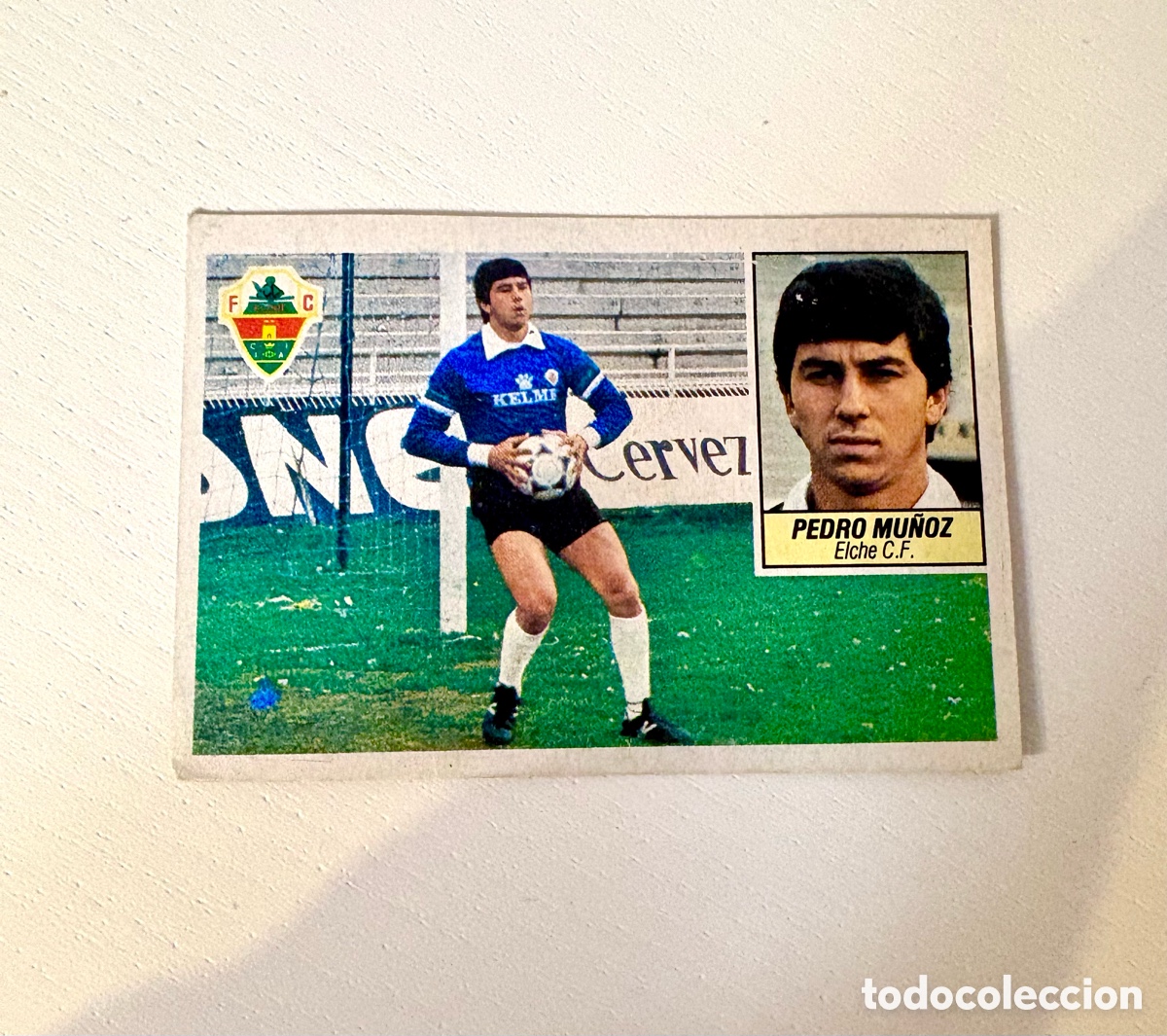 Cromos de f&uacute;tbol: Este 84 85 pedro Mu&ntilde;oz DIF&Iacute;CIL elche coloca ver fotos