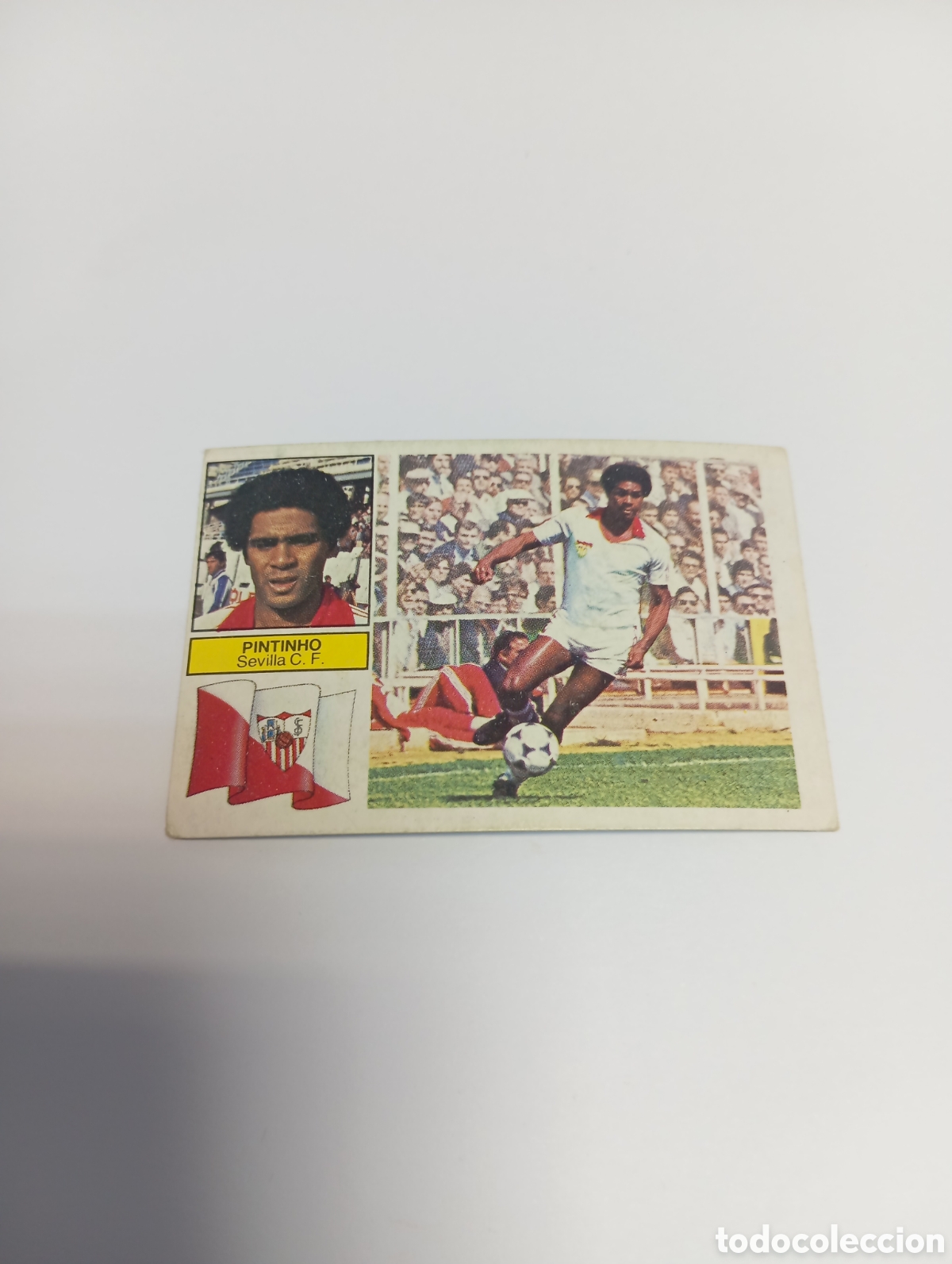 Cromos de f&uacute;tbol: PINTINHO Sevilla Liga Este 1982 1983 NUEVO 82 83 SIN PEGAR