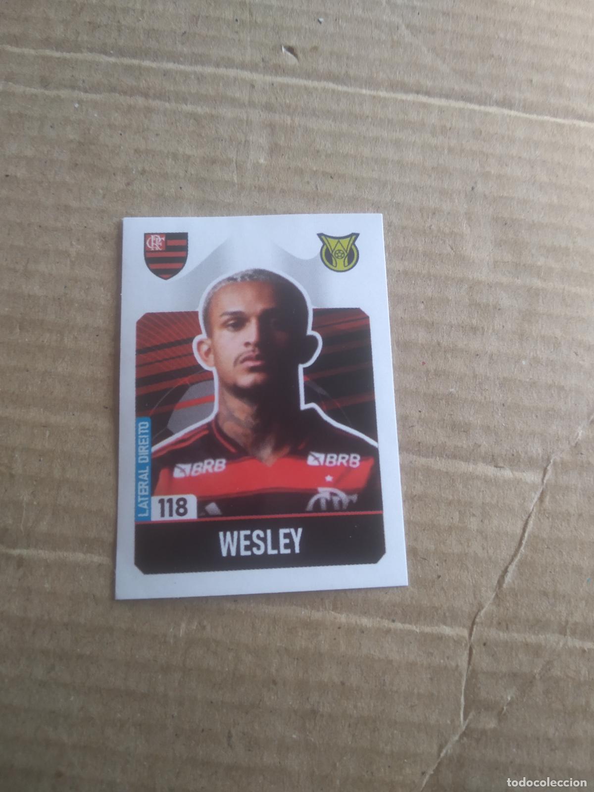 Cromos de f&uacute;tbol: 118 WESLEY FLAMENGO CROMO FUTBOL LIGA BRASIL BRASILEIRAO