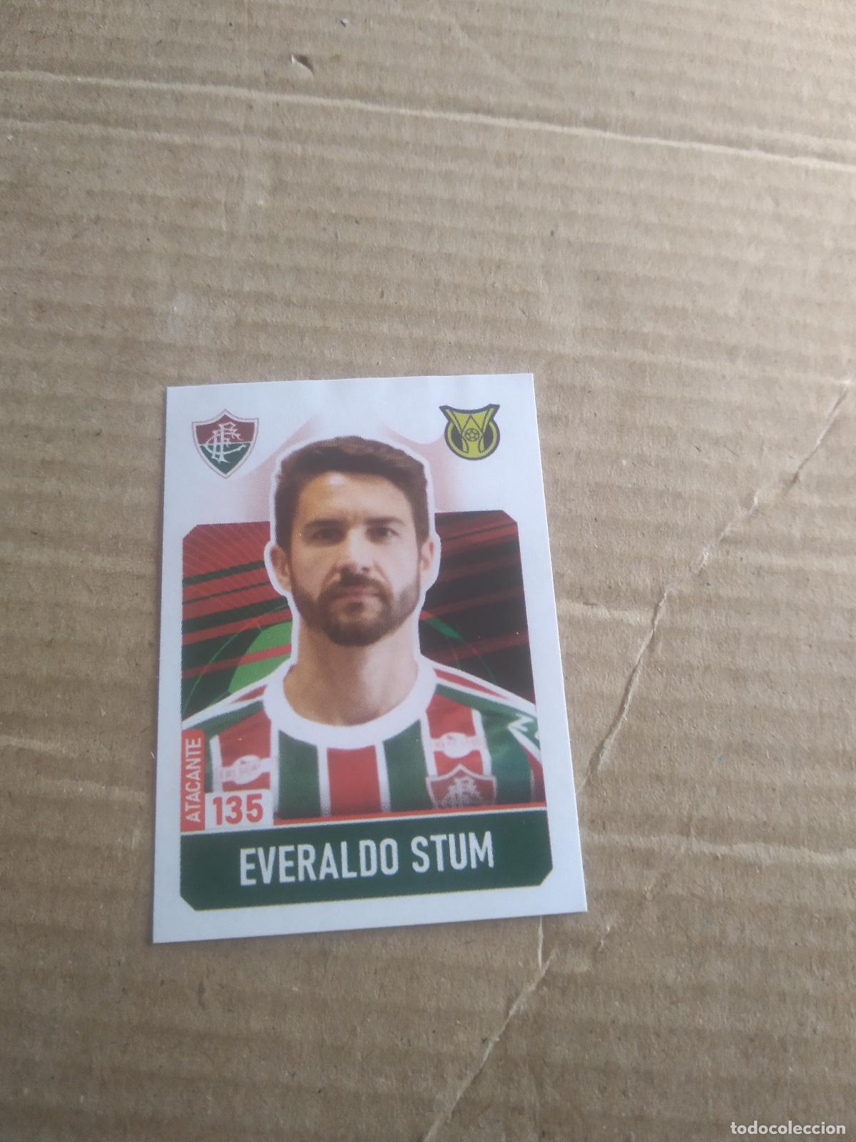 Cromos de f&uacute;tbol: 135 EVERALDO STUM FLUMINENSE CROMO FUTBOL LIGA BRASIL BRASILEIRAO