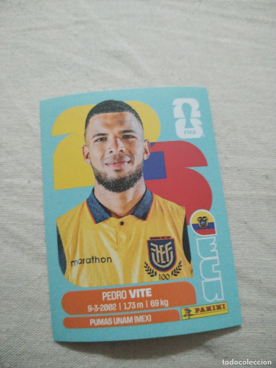 Fu&szlig;ball-Sticker: CROMO MUNDIAL 2026 - ECUADOR ECU 12
