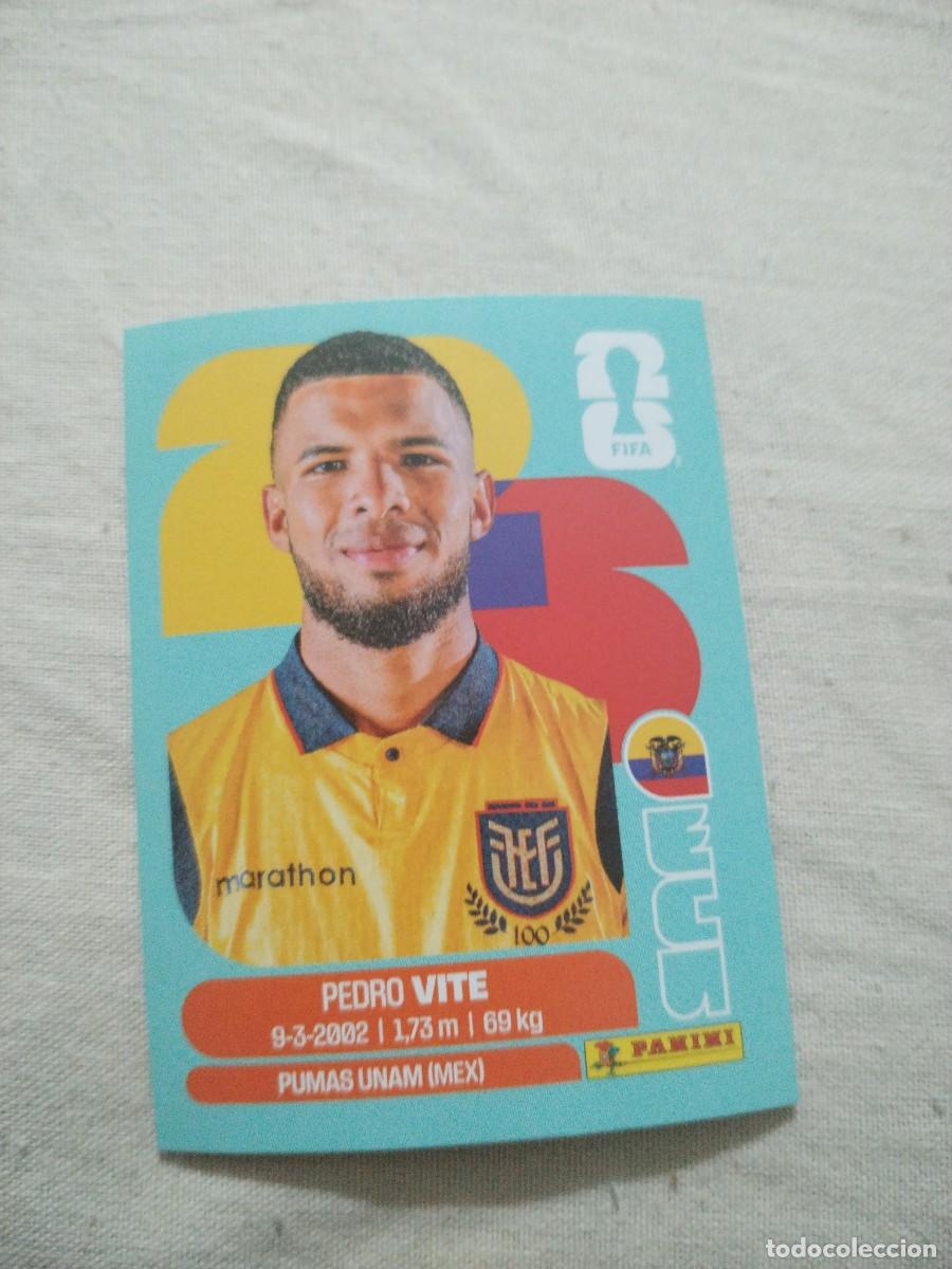 Fu&szlig;ball-Sticker: CROMO MUNDIAL 2026 - ECUADOR ECU 12