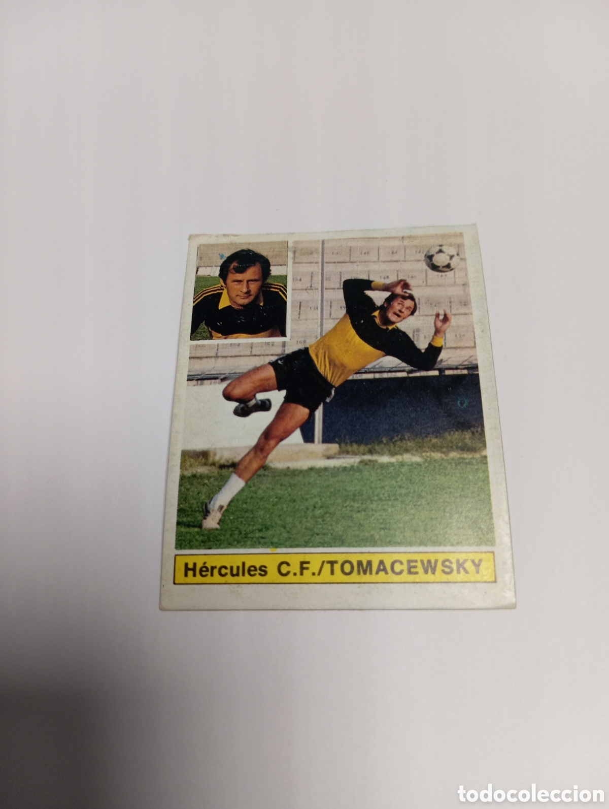 Cromos de f&uacute;tbol: TOMACEWSKY COLOCA H&eacute;rcules Liga Este 1981 1982 RECUPERADO 81 82