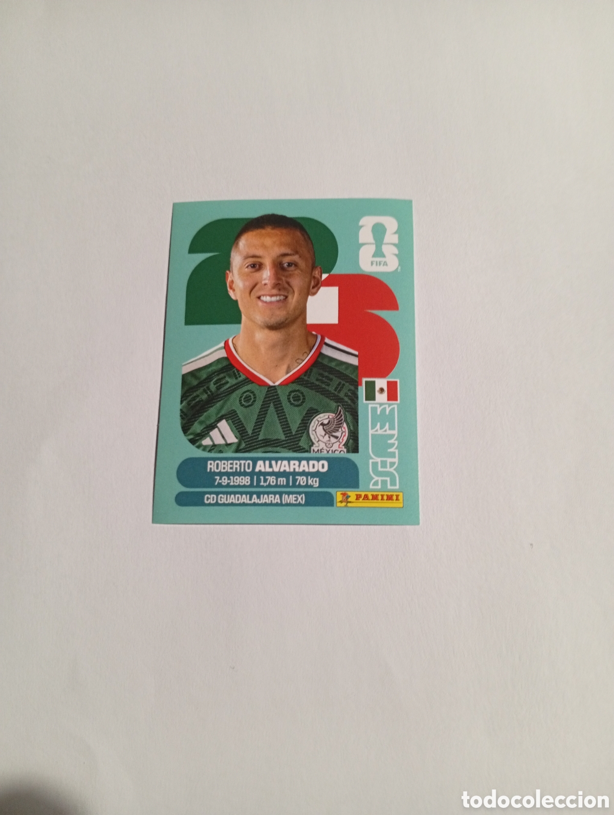 Cromos de f&uacute;tbol: Mex 19 World Cup 26 Mundial Panini Fifa
