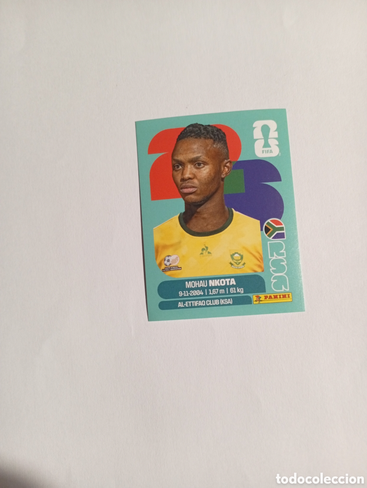 Cromos de f&uacute;tbol: RSA 19 World Cup 26 Mundial Panini Fifa