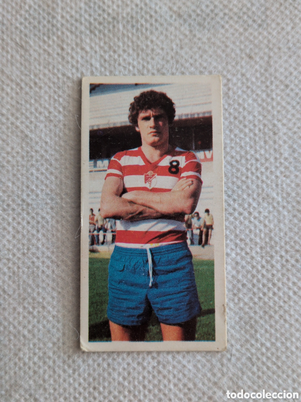 Football Stickers: Este 75 76 Denis milar granada 30 fichaje. Nunca pegado.