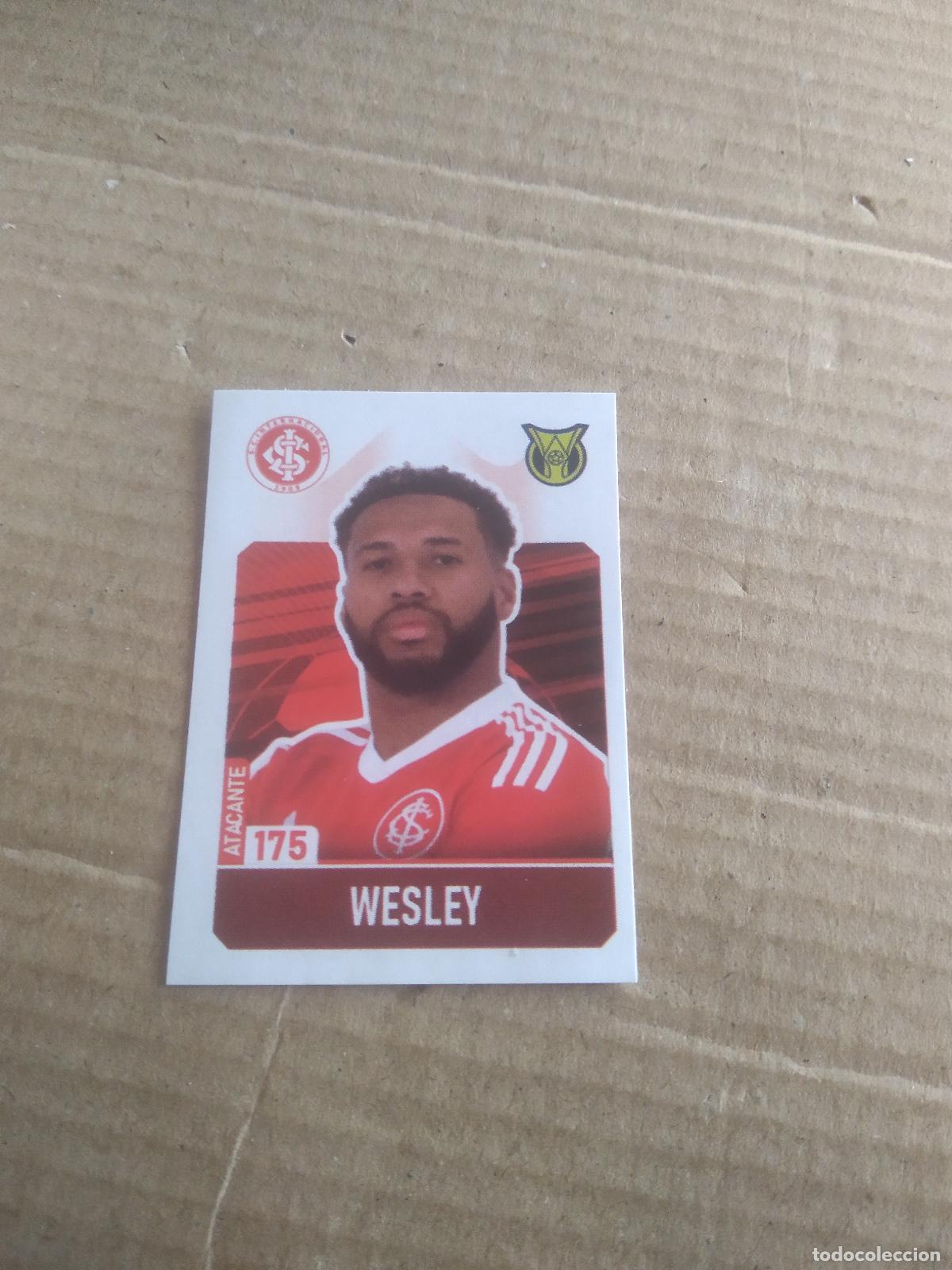 Cromos de f&uacute;tbol: 175 WESLEY INTERNACIONAL CROMO FUTBOL LIGA BRASIL BRASILEIRAO