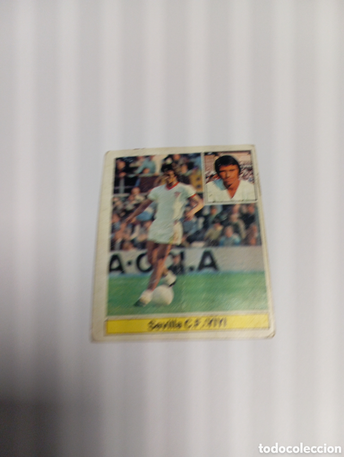 Cromos de f&uacute;tbol: YIYI Sevilla Liga Este 1981 1982 RECUPERADO 81 82
