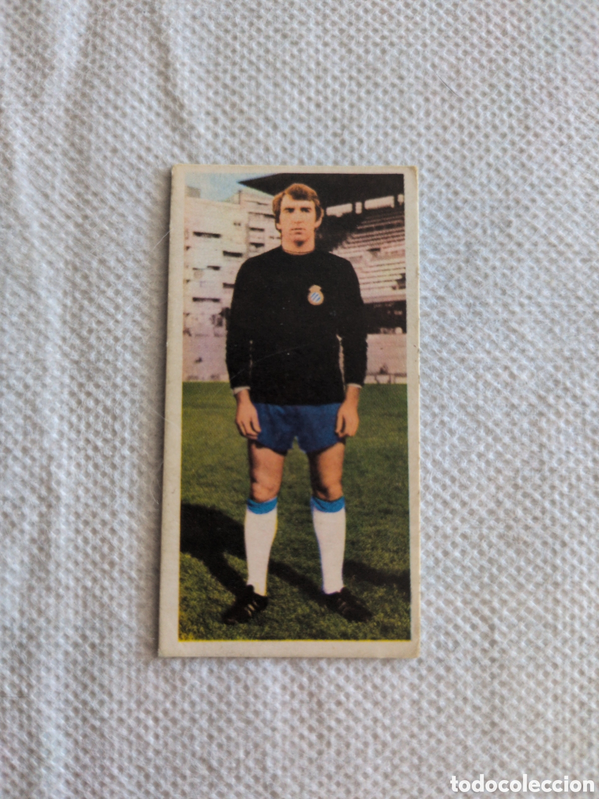 Figurine di Calcio: Echevarria Espa&ntilde;ol coloca liga 75 76 1975 1976 Ediciones Este. NUNCA PEGADO