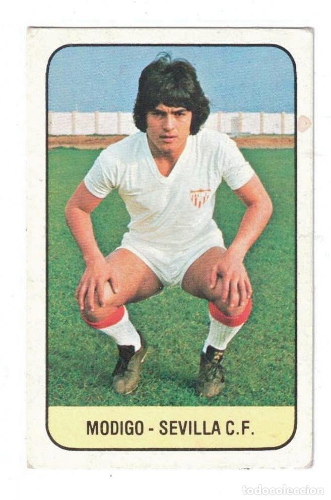 Cromos de f&uacute;tbol: CROMO - MODIGO - SEVILLA C.F. - LIGA 78 / 79 - EDICIONES ESTE - 1978 - 1979 - NUNCA PEGADO