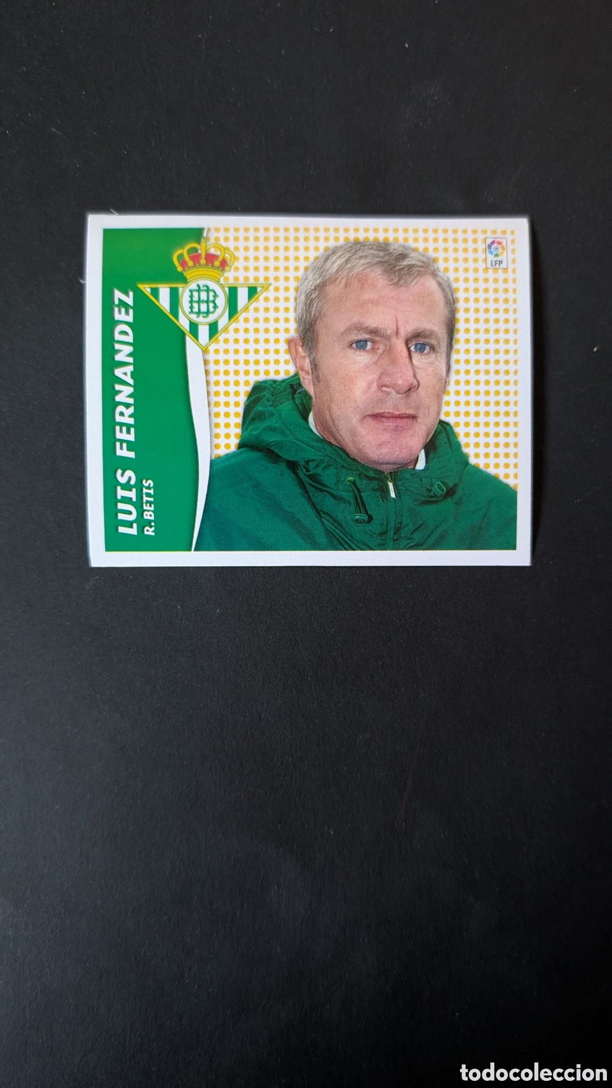 Cromos de Futebol: LUIS FERNANDEZ BETIS ENTRENADOR MERCADO INVIERNO LIGA ESTE 2006/07 06 07 NUNCA PEGADO SIN PEGAR