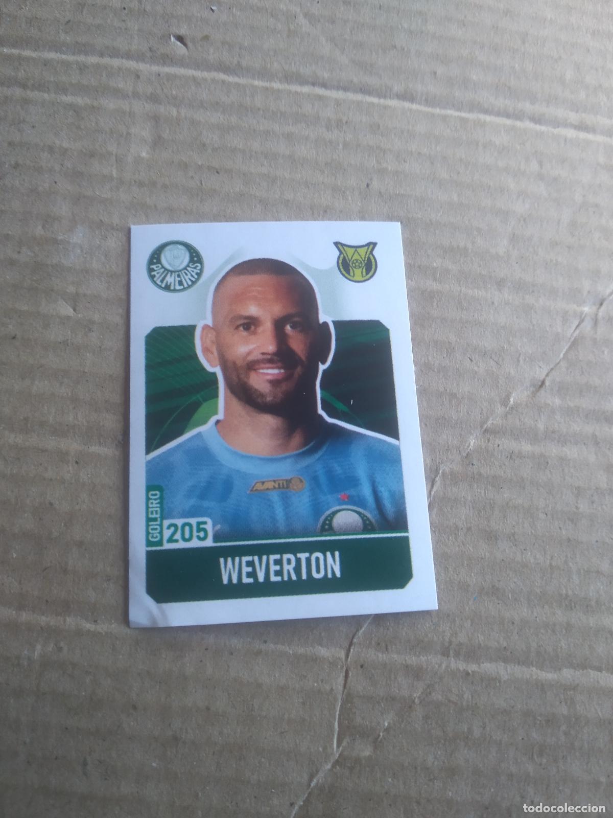 Cromos de f&uacute;tbol: 205 WEVERTON PALMEIRAS CROMO FUTBOL LIGA BRASIL BRASILEIRAO