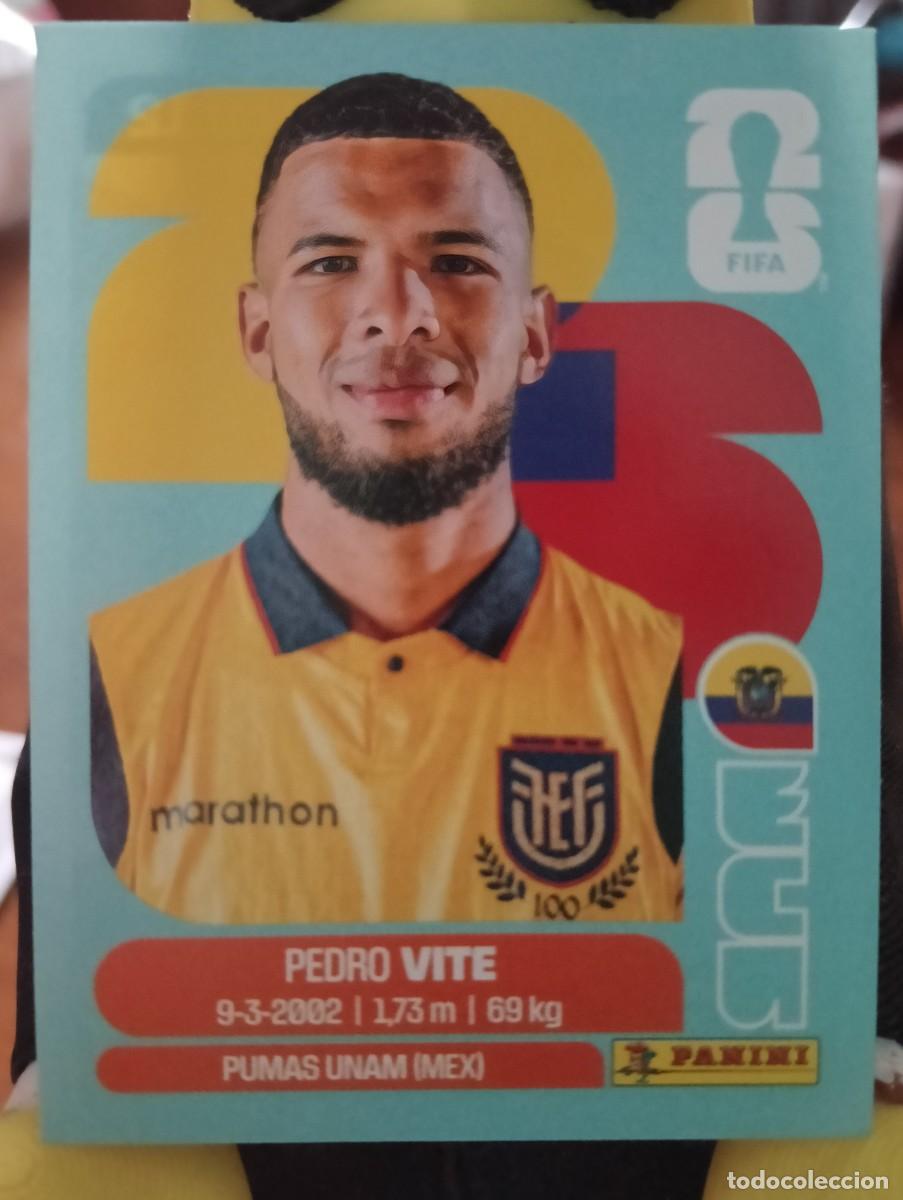Cromos de f&uacute;tbol: Mundial 2026 - Pedro Vite - N&deg; 12 - Ecuador