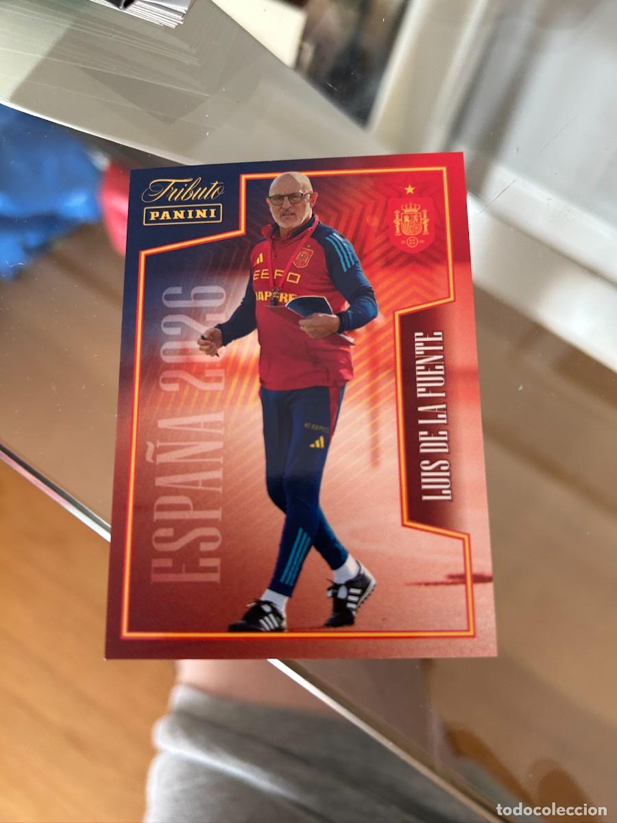 Cromos de f&uacute;tbol: LUIS DE LA FUENTE TRIBUTO NUEVO