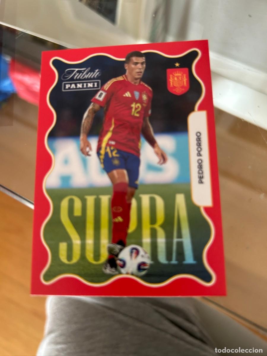 Cromos de f&uacute;tbol: PEDRO PORRO TRIBUTO NUEVO SUPRA