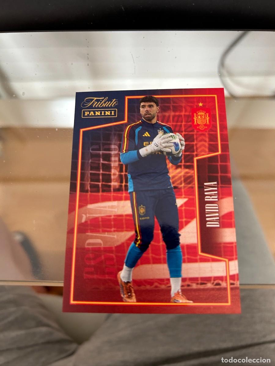 Cromos de f&uacute;tbol: DAVID RAYA TRIBUTO A LA SELECCION NUEVO