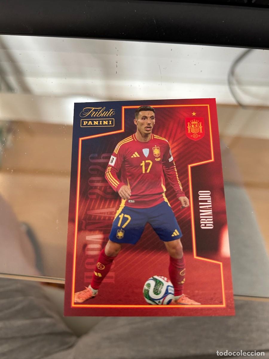 Cromos de f&uacute;tbol: GRIMALDO TRIBUTO A LA SELECCION NUEVO