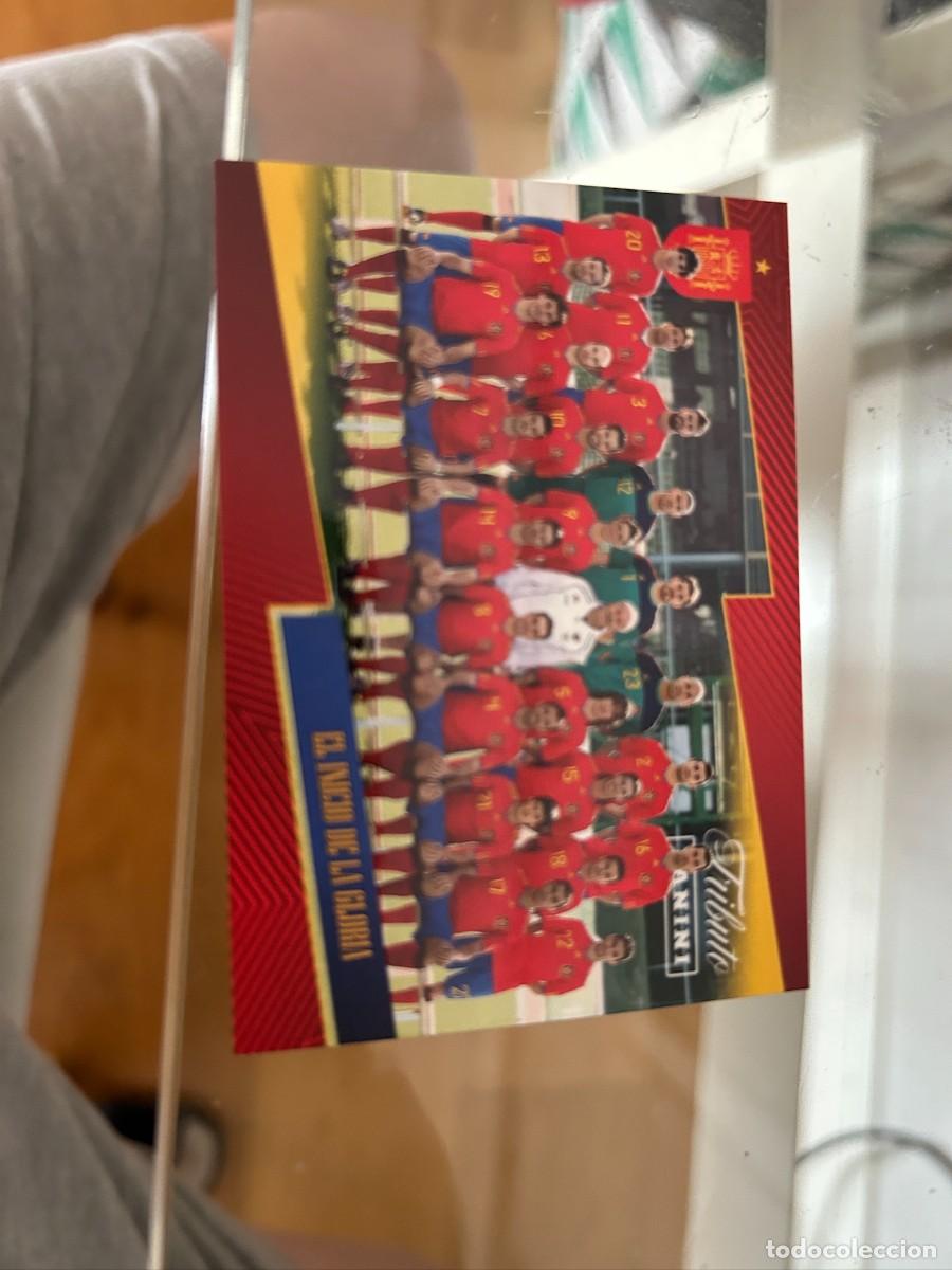 Cromos de f&uacute;tbol: SELECCION ESPA&Ntilde;OLA 2010 CAMPEONA DEL MUNDO NUEVA