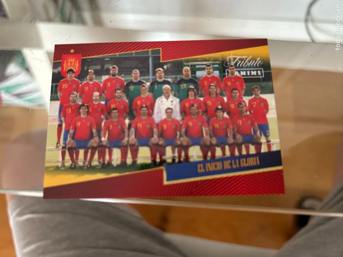 Cromos de Futebol: SELECCION ESPA&Ntilde;OLA 2010 CAMPEONA DEL MUNDO NUEVA